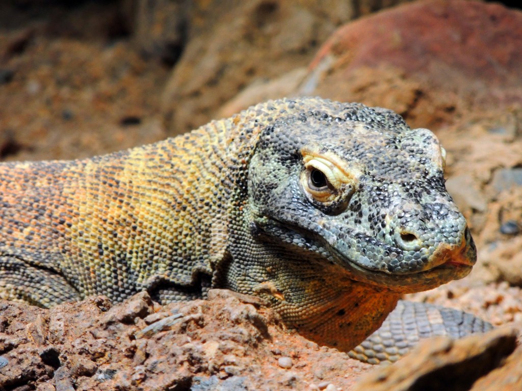 Foto de Fuengirola (Málaga), España