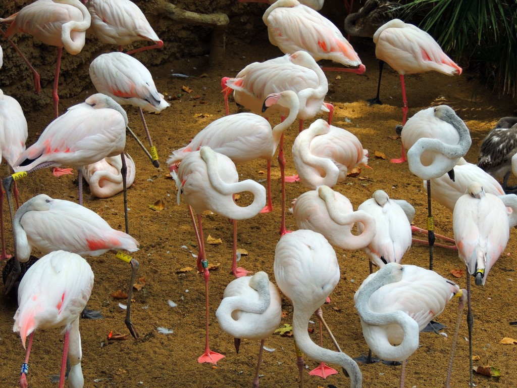 Foto de Fuengirola (Málaga), España