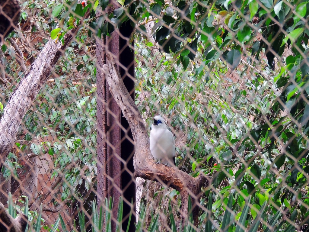 Foto de Fuengirola (Málaga), España