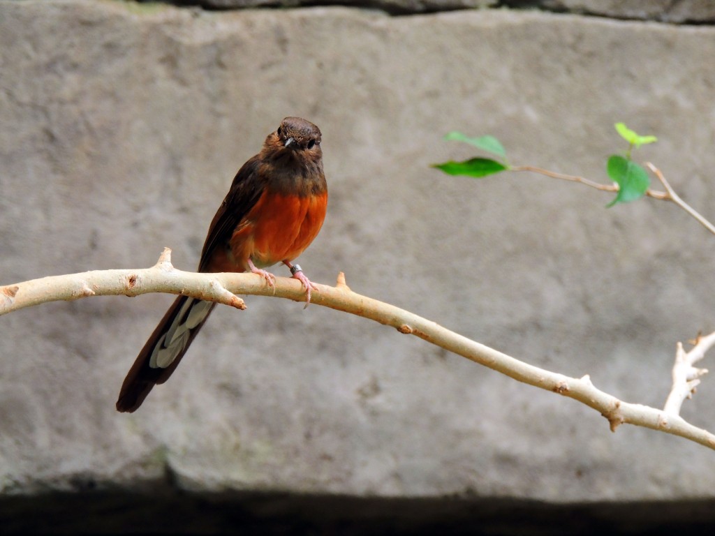 Foto de Fuengirola (Málaga), España