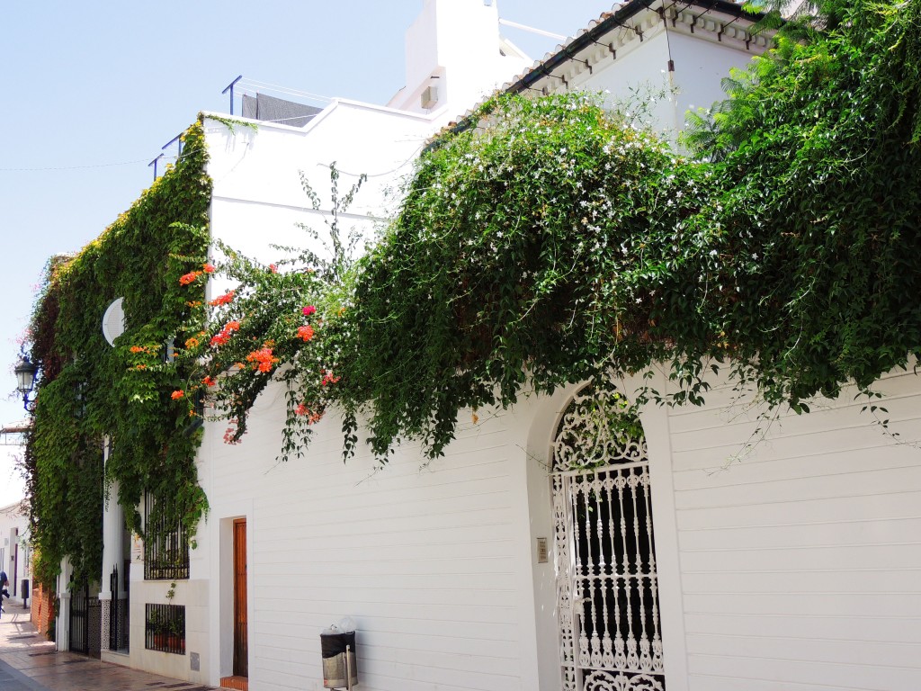 Foto de Nerja (Málaga), España
