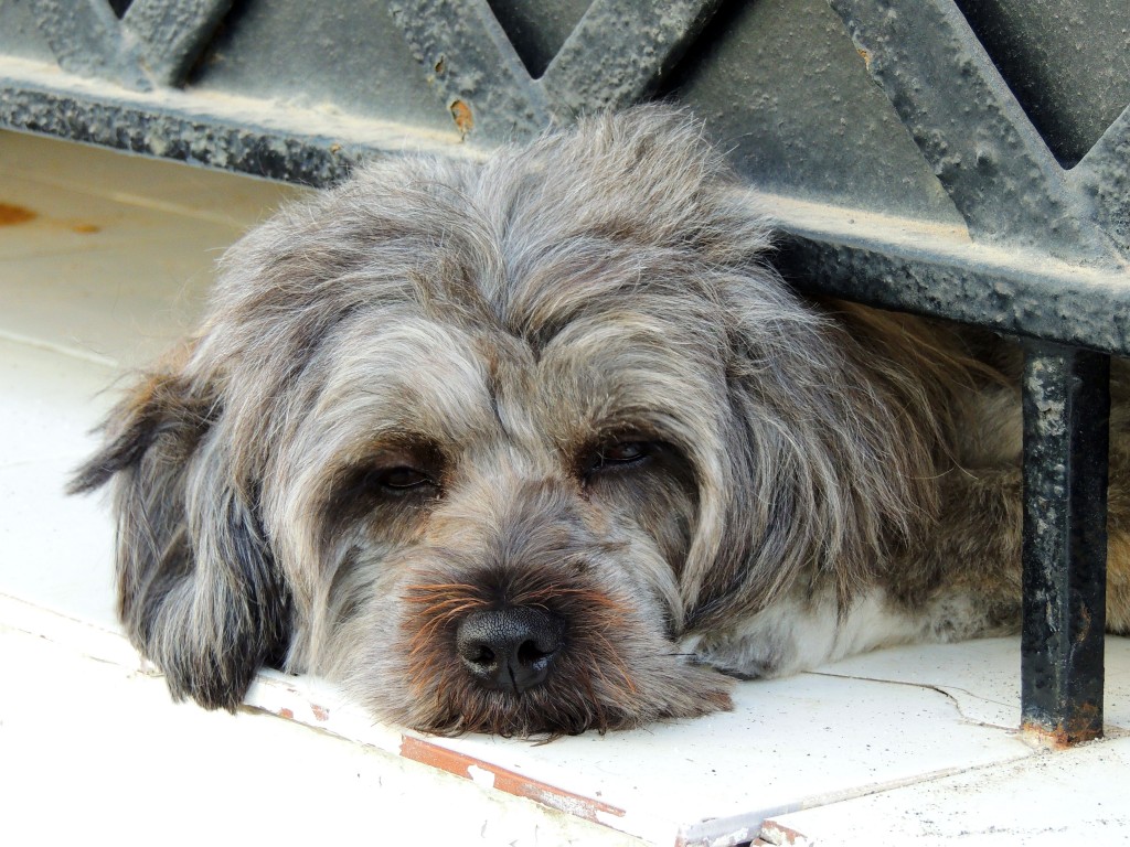 Foto de Nerja (Málaga), España