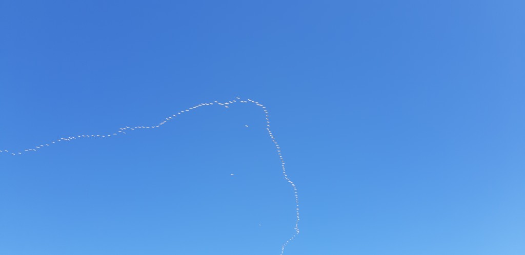 Foto de Cádiz (Andalucía), España