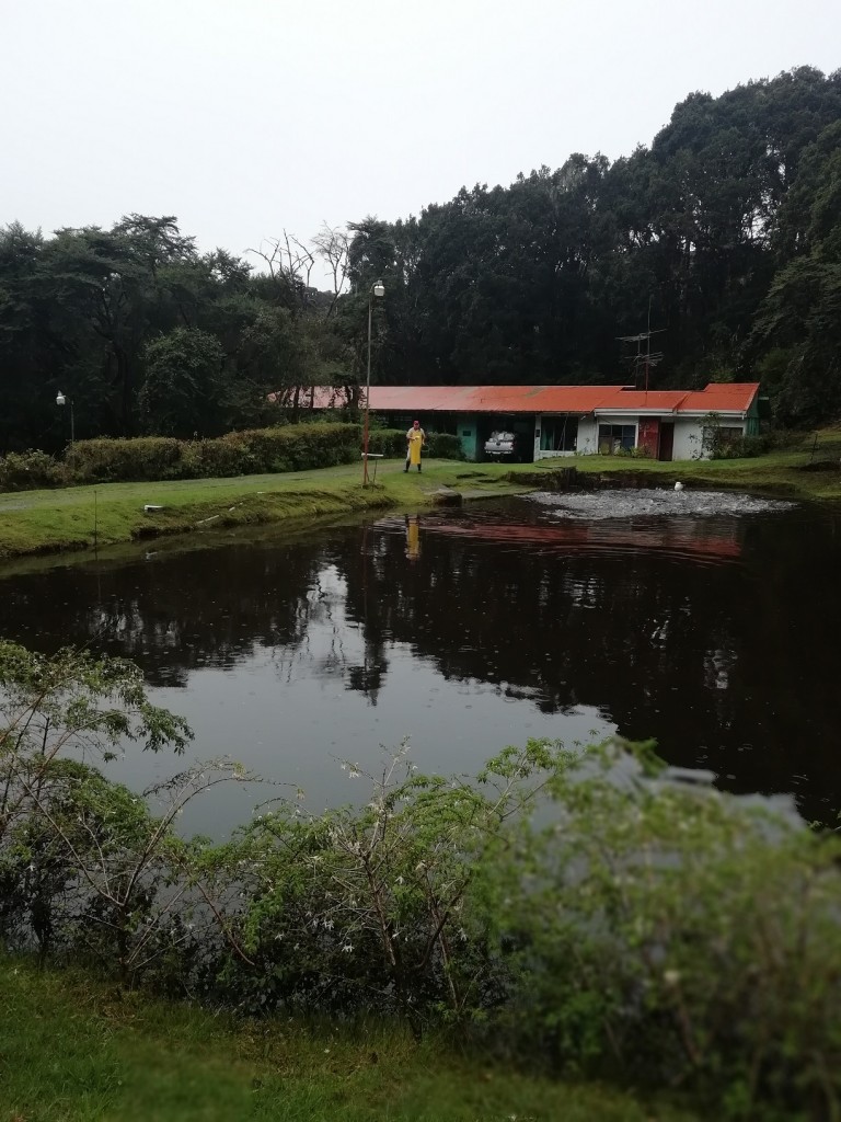 Foto: Finca INCOPESCA - Ojo de Agua de Dota (San José), Costa Rica