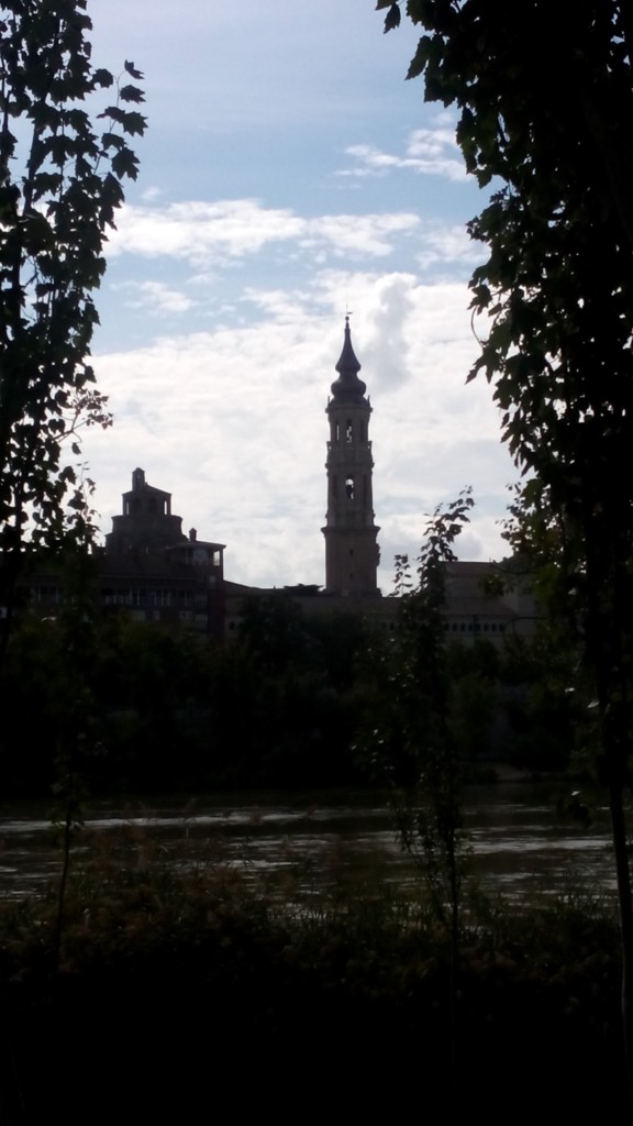 Foto: Rivera del Ebro - Zaragoza (Aragón), España