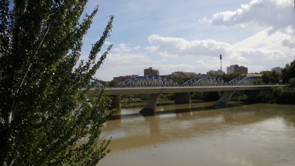 Foto: Rivera del Ebro - Zaragoza (Aragón), España