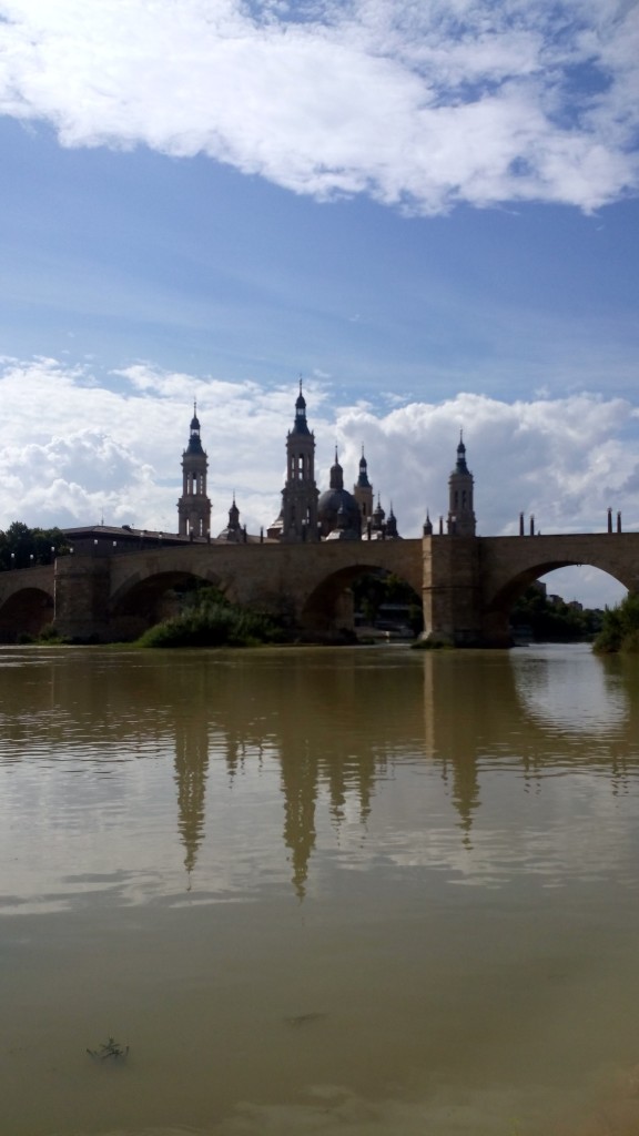 Foto: Rivera del Ebro - Zaragoza (Aragón), España