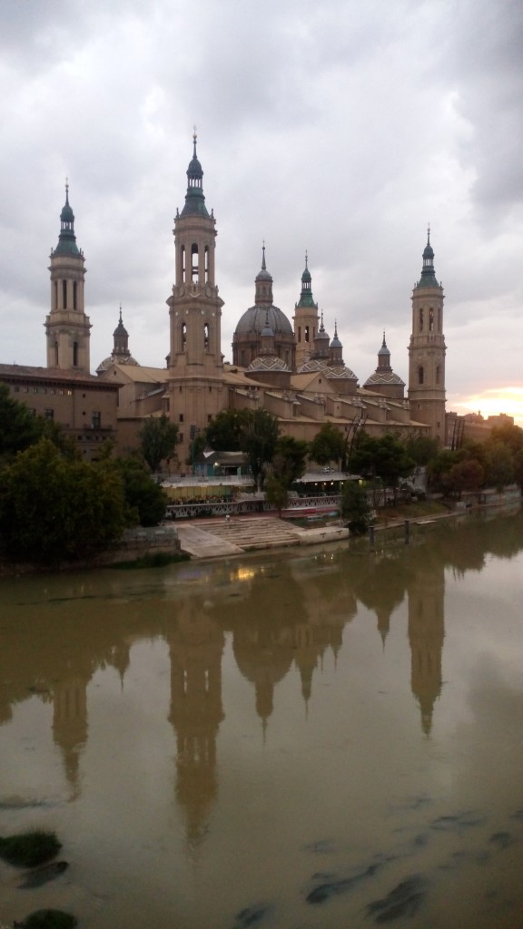 Foto: Rivera del Ebro - Zaragoza (Aragón), España