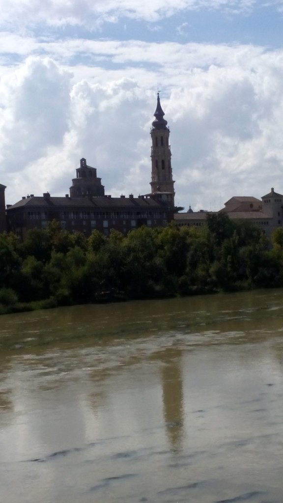 Foto: Rivera del Ebro - Zaragoza (Aragón), España