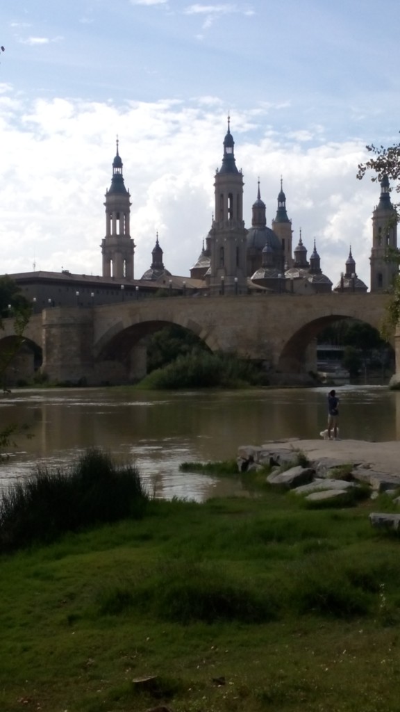 Foto: Rivera del Ebro - Zaragoza (Aragón), España