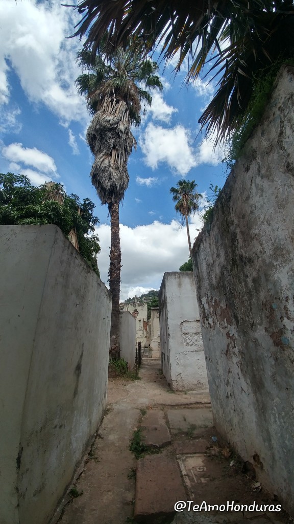 Foto: Cementerio General - Comayaguela (Francisco Morazán), Honduras