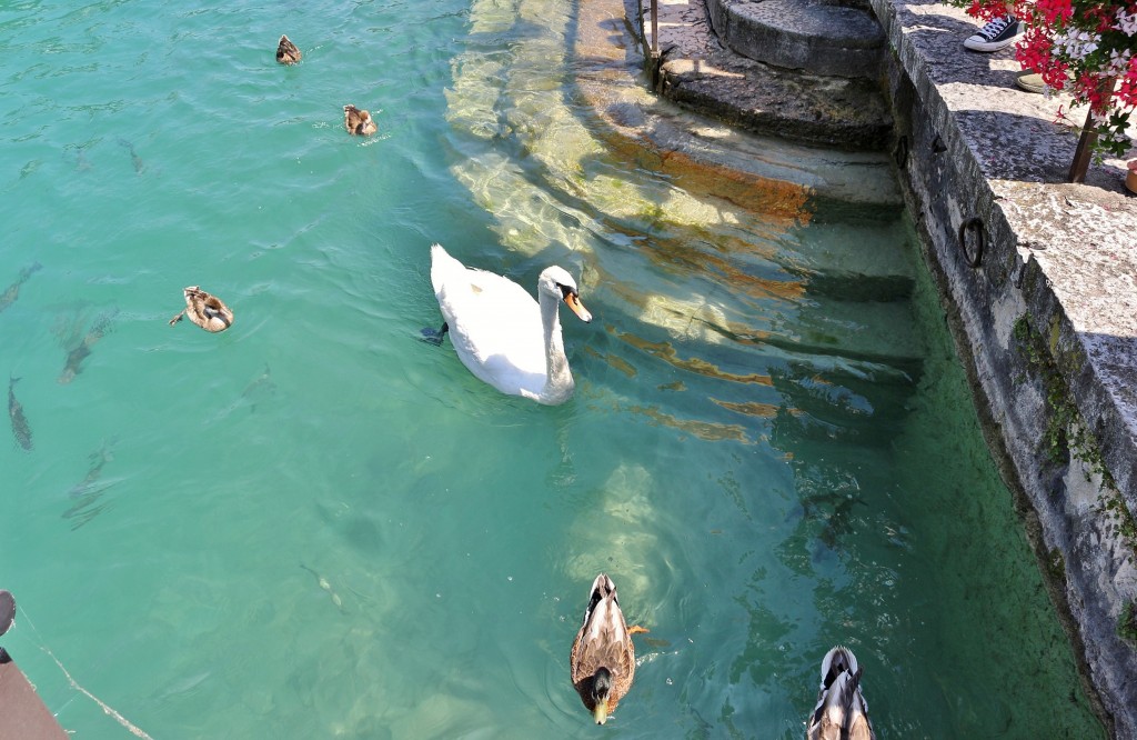 Foto: Centro histórico - Peschiera del Garda (Veneto), Italia