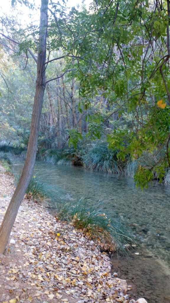 Foto: Hoces del Mesa - Jaraba (Zaragoza), España