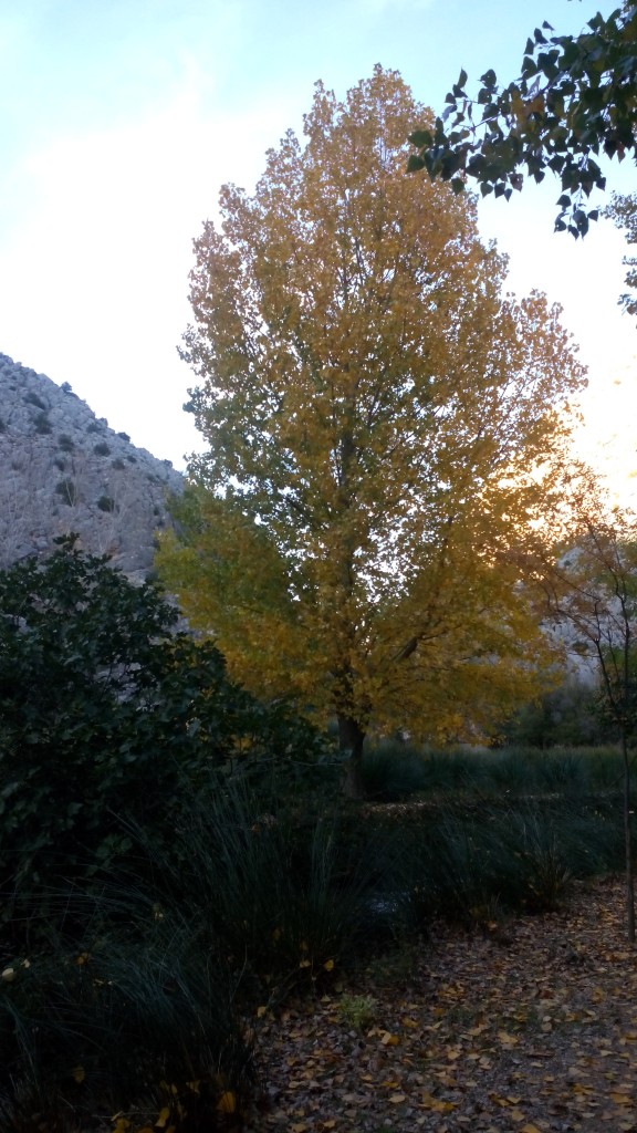 Foto: Hoces del Mesa - Jaraba (Zaragoza), España