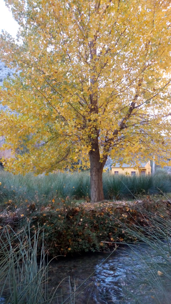 Foto: Hoces del Mesa - Jaraba (Zaragoza), España