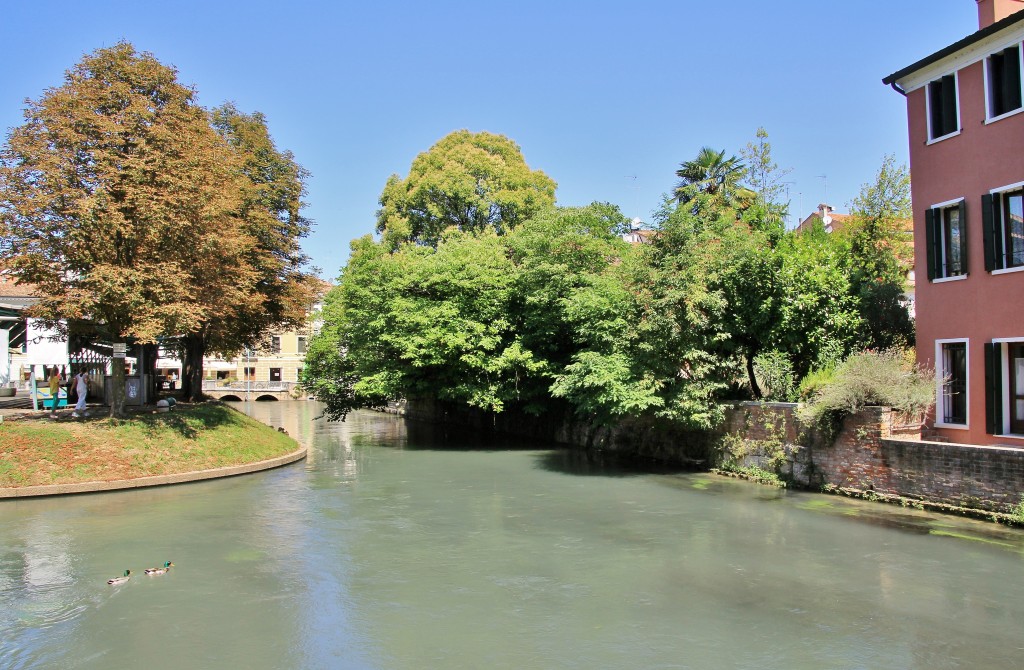 Foto: Centro histórico - Treviso (Veneto), Italia