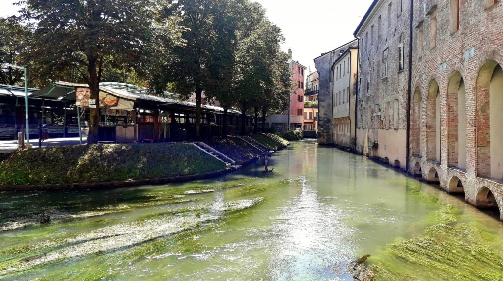Foto: Centro histórico - Treviso (Veneto), Italia