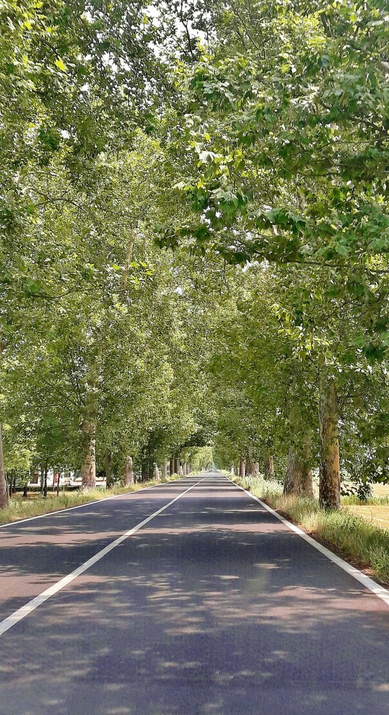 Foto: Carretera - Caorle (Veneto), Italia