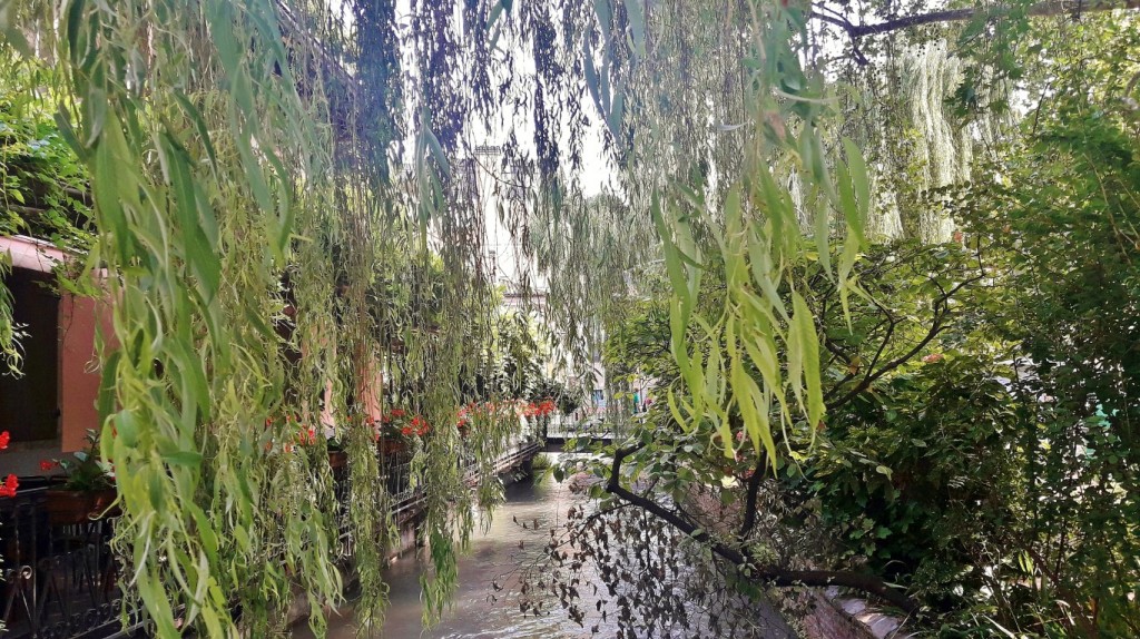 Foto: Centro histórico - Udine (Friuli Venezia Giulia), Italia