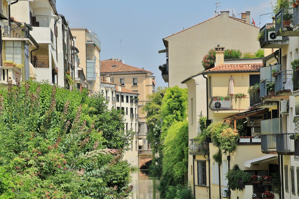 Foto: Centro histórico - Padua (Veneto), Italia
