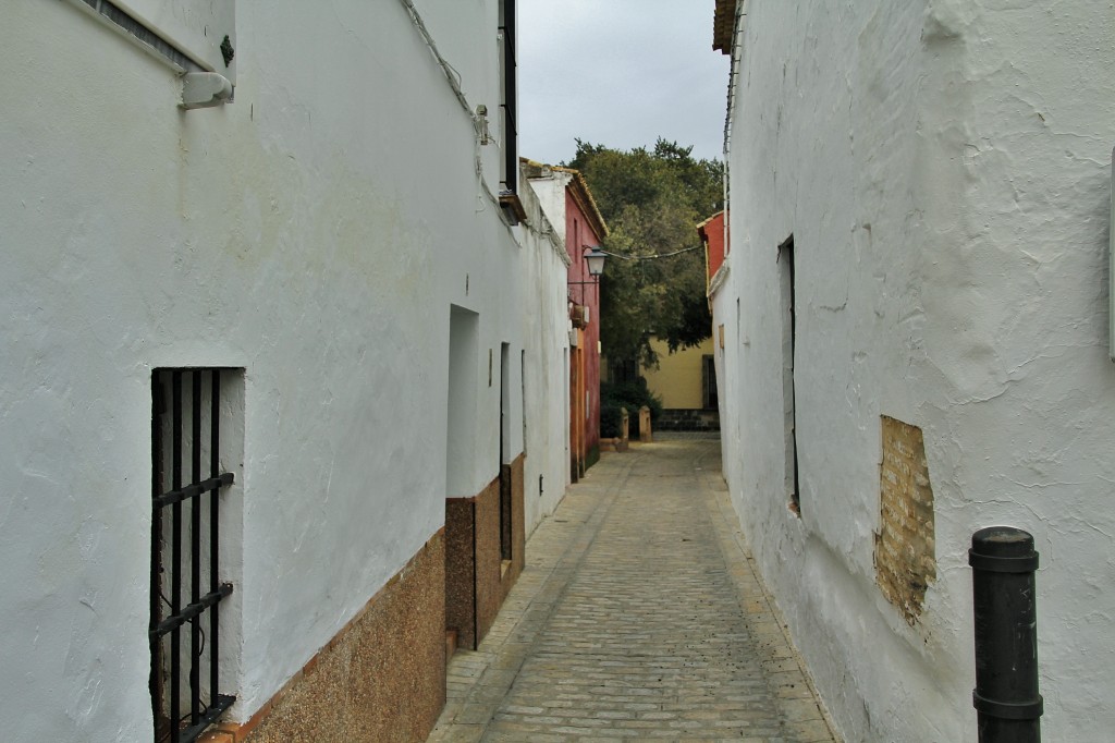 Foto: Centro histórico - Carmona (Sevilla), España