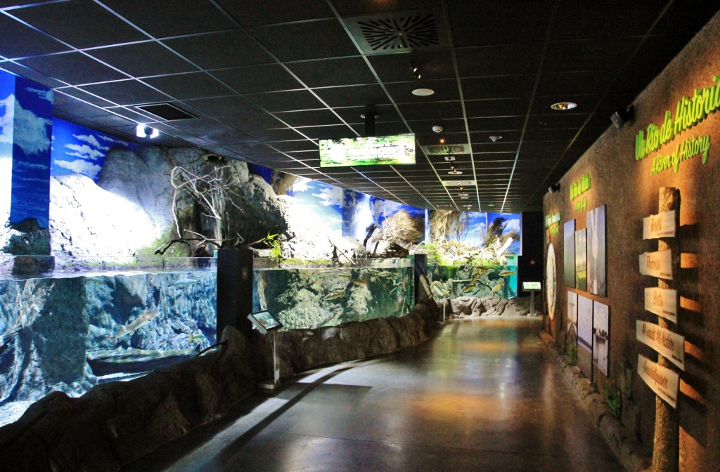 Foto: Acuario - Sevilla (Andalucía), España