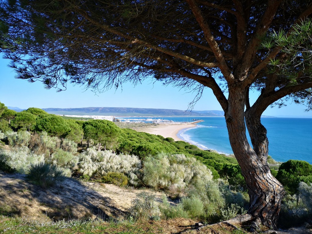 Foto de Barbate (Cádiz), España