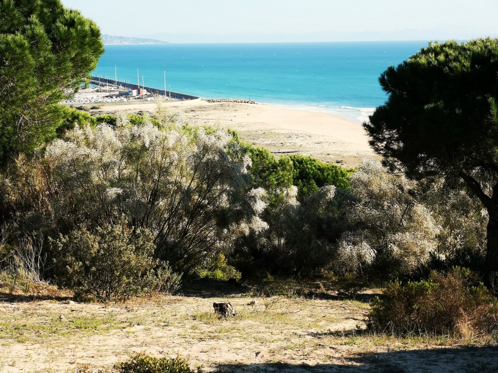 Foto: Playa Yerbabuena - Barbate (Cádiz), España