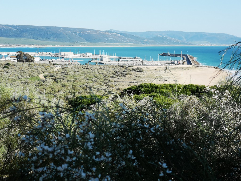 Foto de Barbate (Cádiz), España