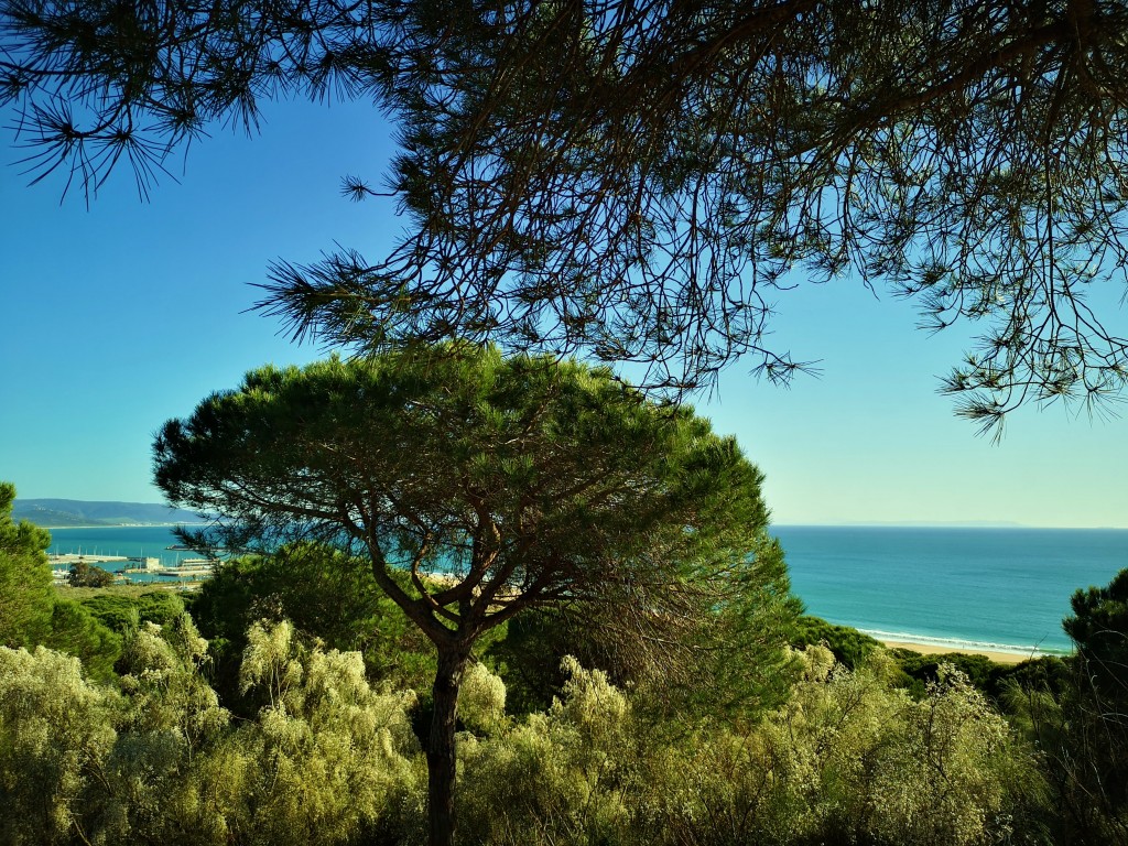 Foto: Las Breñas - Barbate (Cádiz), España