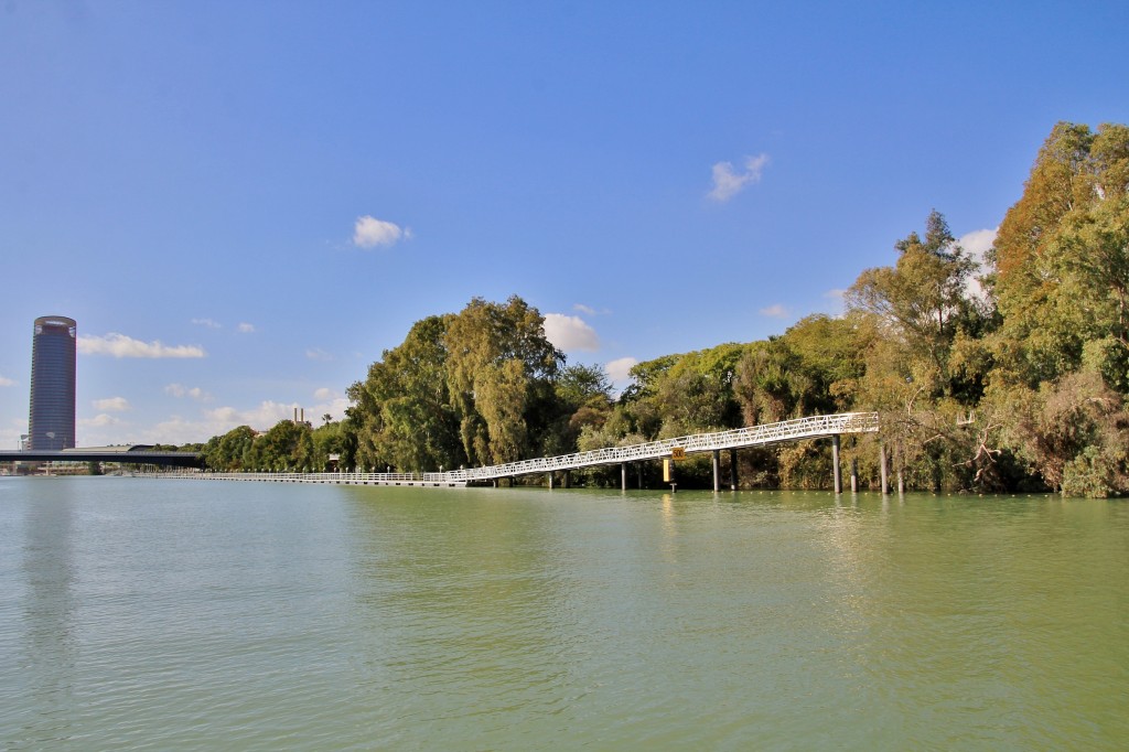 Foto: Navegando por el Guadalquivir - Sevilla (Andalucía), España