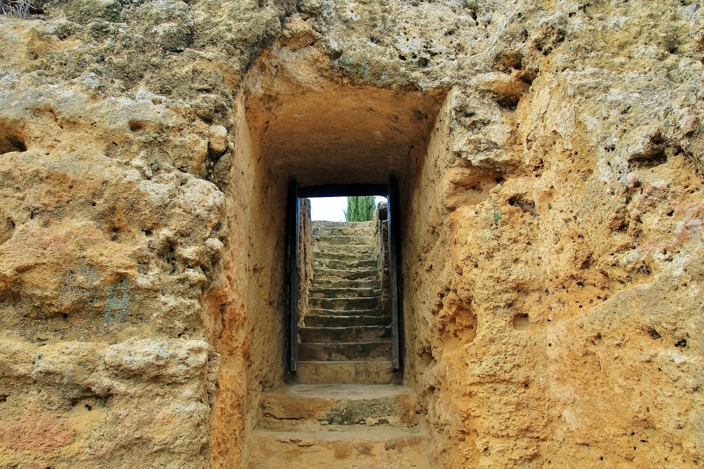 Foto: Necrópoli romana - Carmona (Sevilla), España