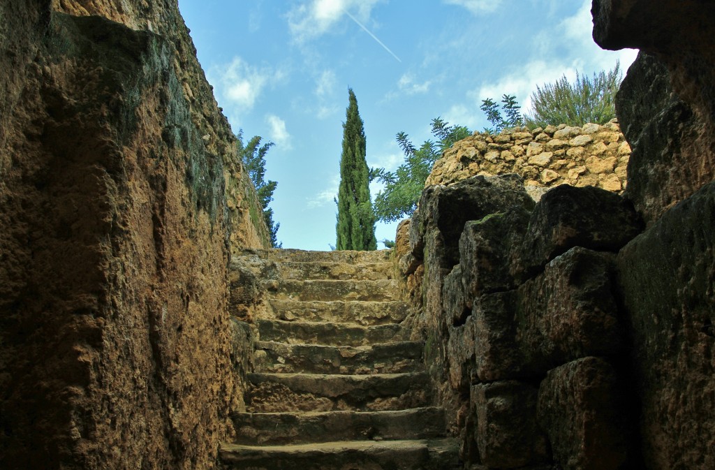 Foto: Necrópoli romana - Carmona (Sevilla), España