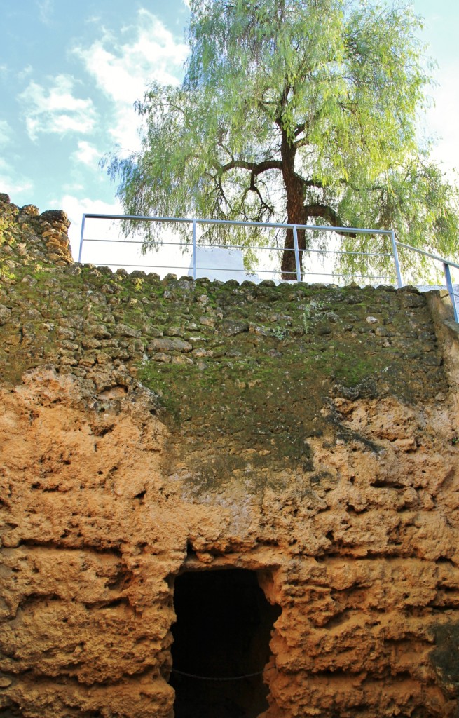 Foto: Necrópoli romana - Carmona (Sevilla), España