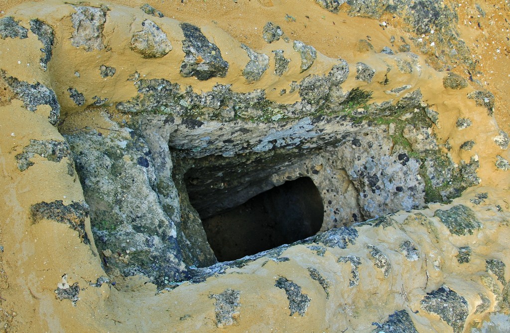 Foto: Necrópoli romana - Carmona (Sevilla), España