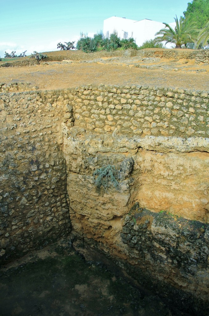 Foto: Necrópoli romana - Carmona (Sevilla), España
