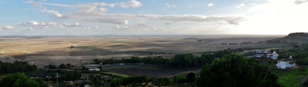 Foto: Paisaje - Carmona (Sevilla), España