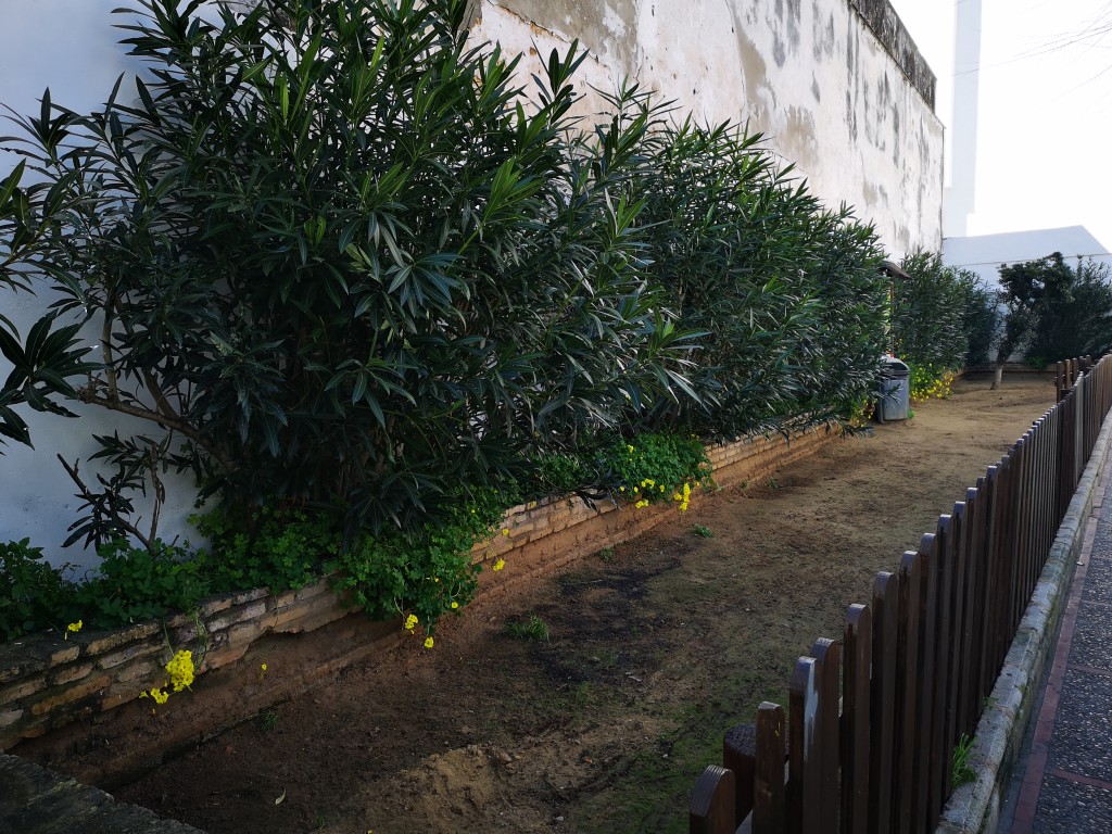 Foto de San Fernando (Cádiz), España