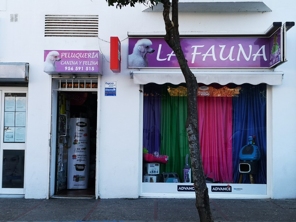 Foto de San Fernando (Cádiz), España