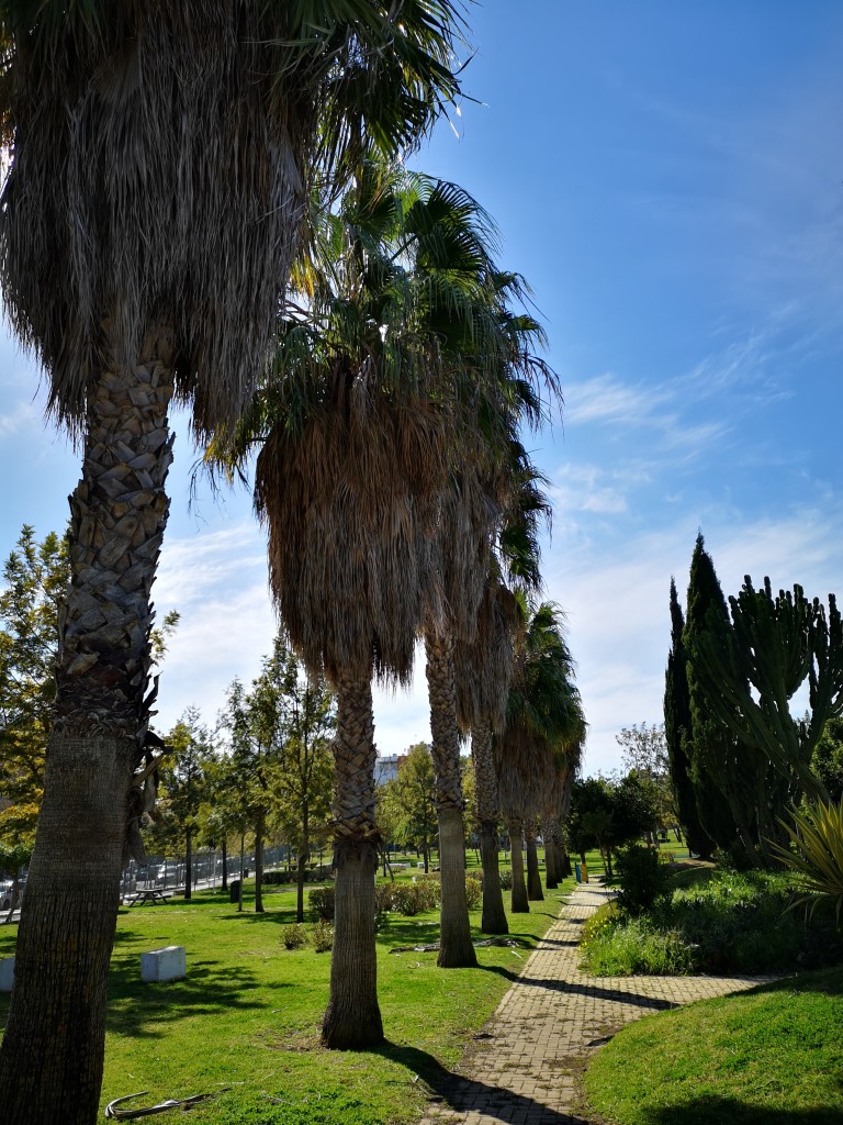 Foto de San Fernando (Cádiz), España