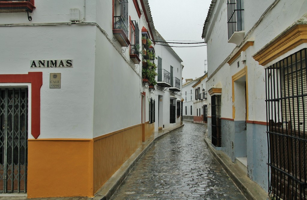 Foto: Centro histórico - Marchena (Sevilla), España