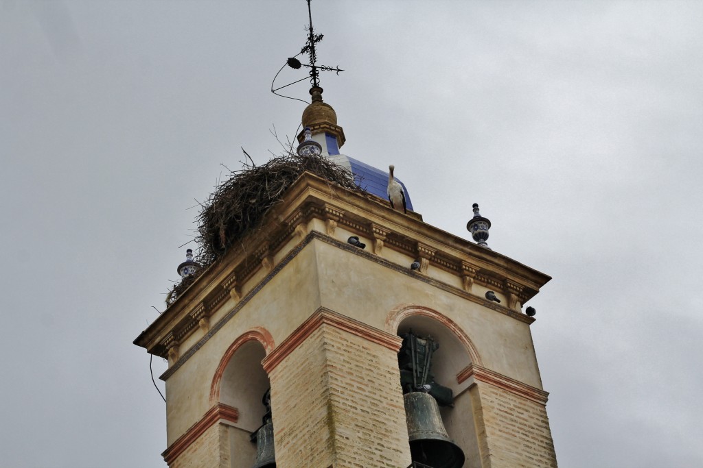 Foto: Centro histórico - Marchena (Sevilla), España