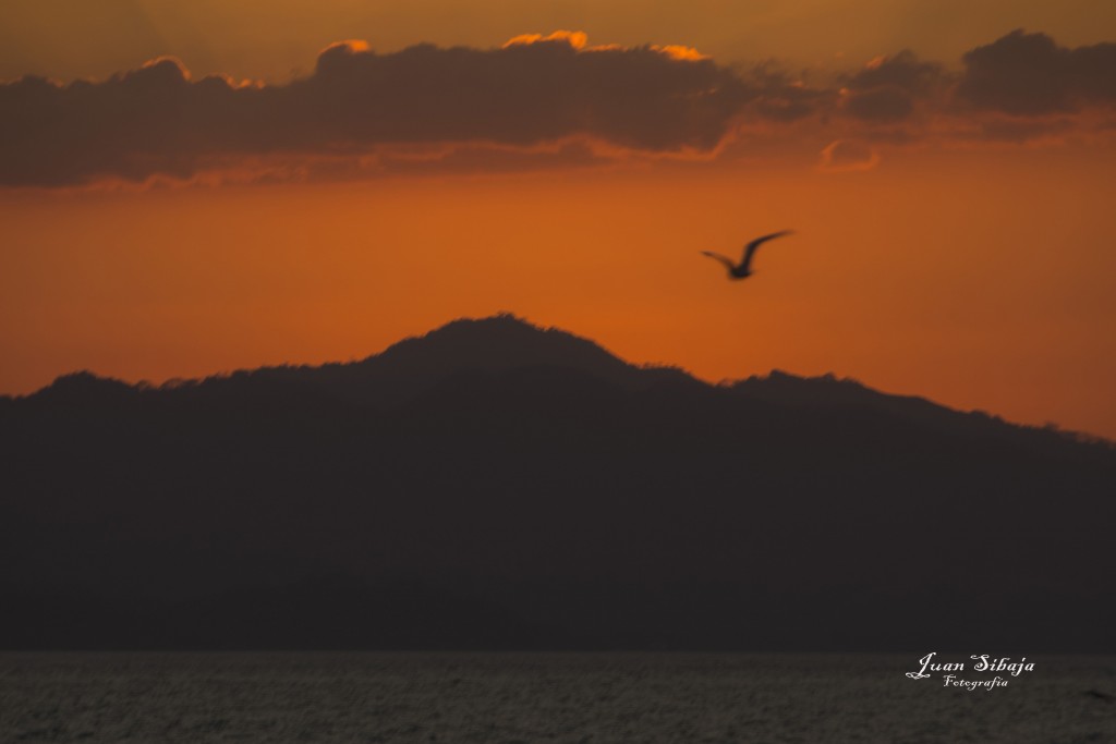 Foto de Isla De San Lucas (Puntarenas), Costa Rica