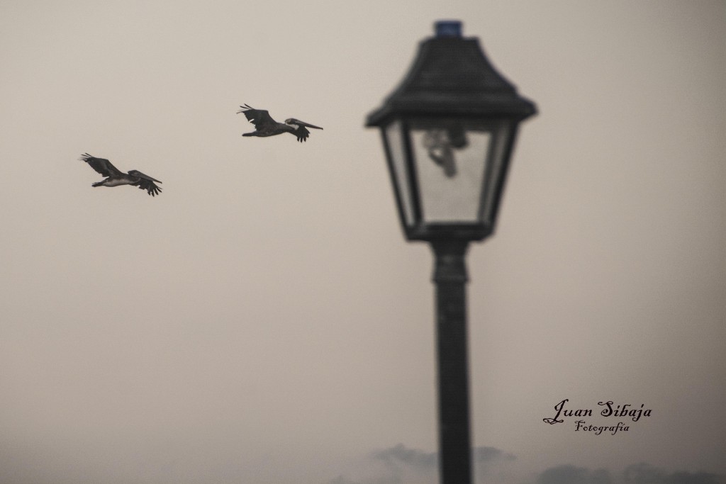 Foto de Isla De San Lucas (Puntarenas), Costa Rica