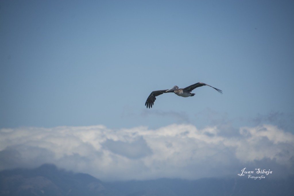Foto de Isla De San Lucas (Puntarenas), Costa Rica