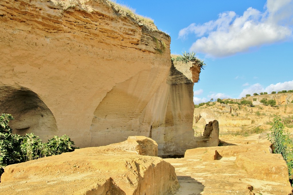 Foto: El Coto las Canteras - Osuna (Sevilla), España