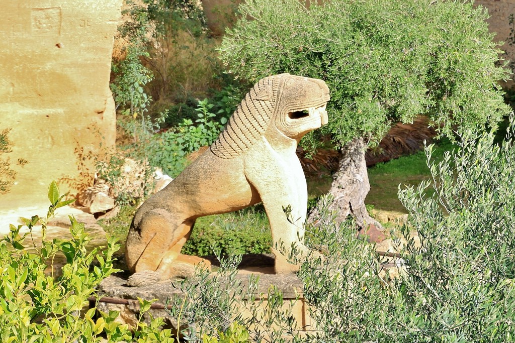 Foto: El Coto las Canteras - Osuna (Sevilla), España