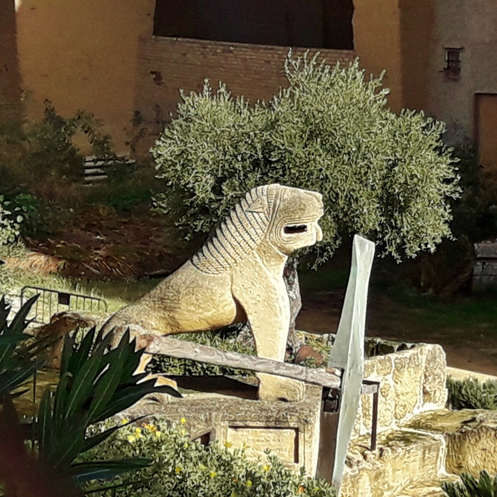 Foto: El Coto las Canteras - Osuna (Sevilla), España