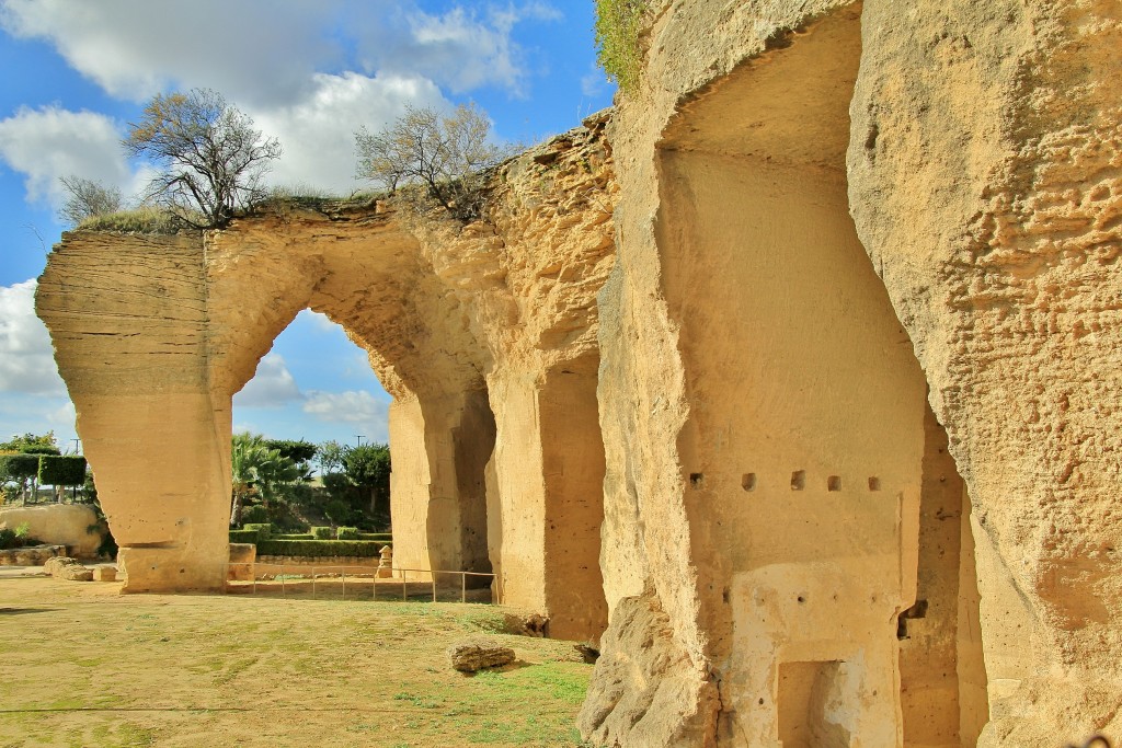 Foto: El Coto las Canteras - Osuna (Sevilla), España