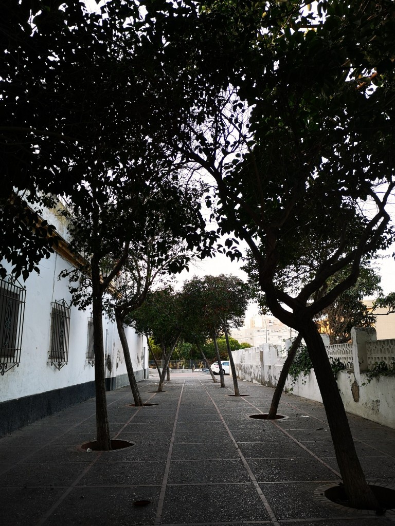 Foto de San Fernando (Cádiz), España